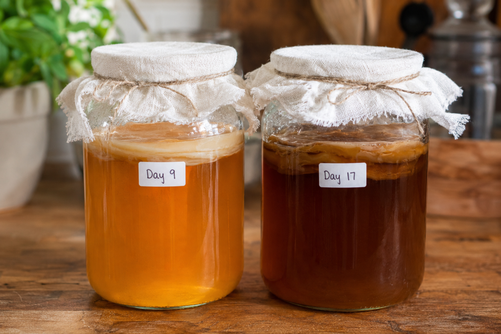 Two kombucha jars side by side showing the difference between properly fermented and over-fermented kombucha