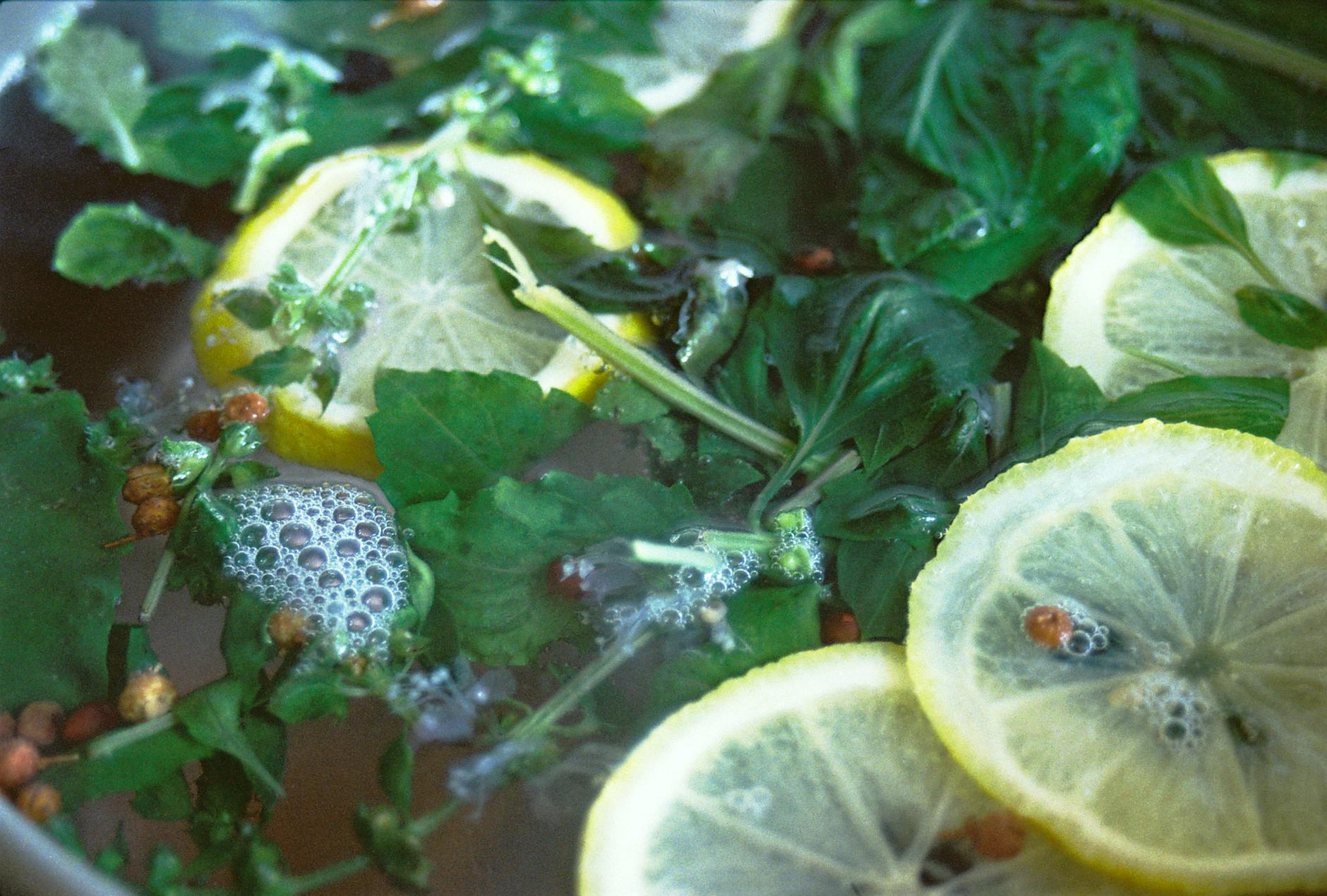 Fresh basil, mint, lime and ginger arranged beside kombucha bottles for mocktail preparation