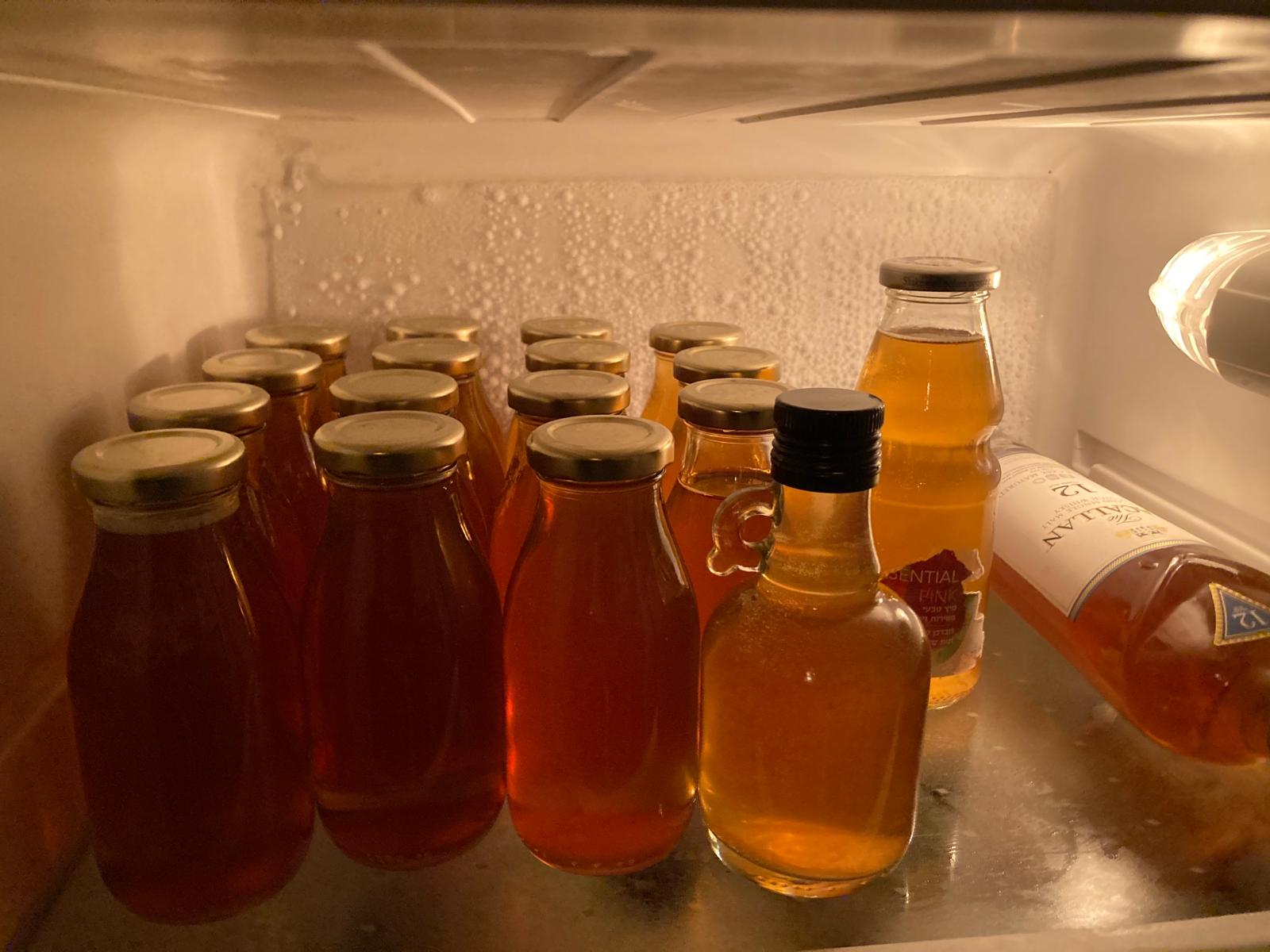 Ofir Fermenter's home-brewed kombucha batches in the fridge