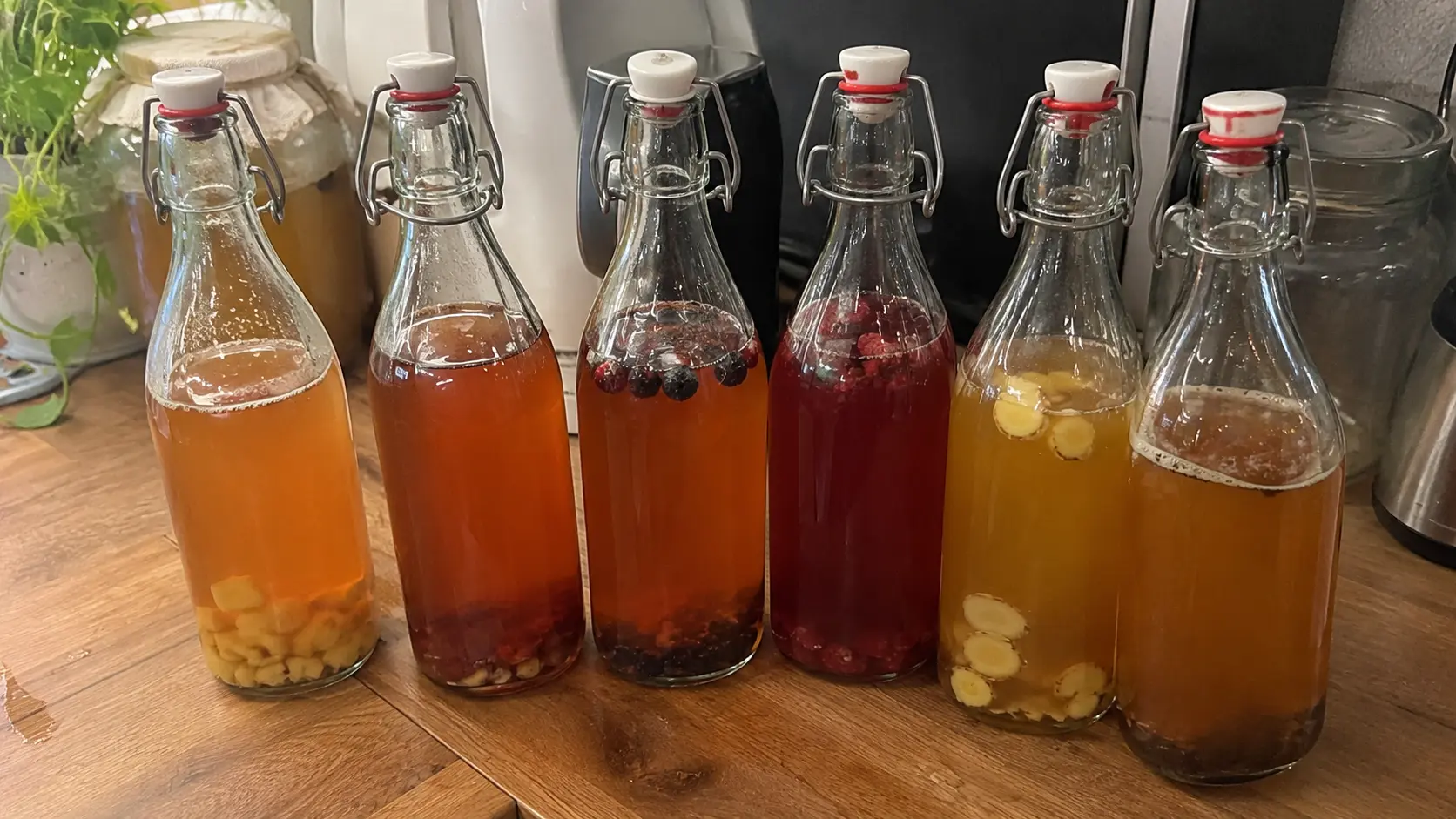 sealed swing-top kombucha bottles during second fermentation on a kitchen counter