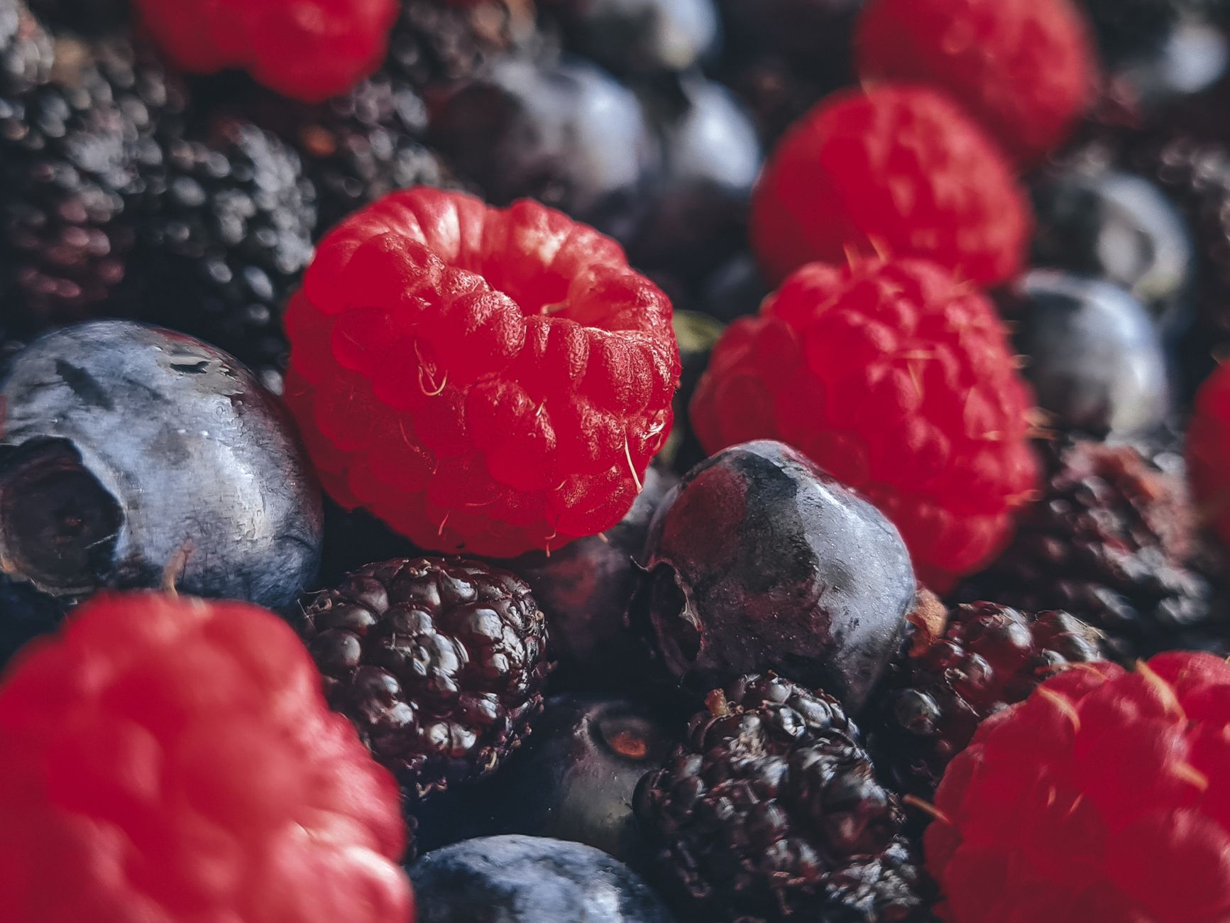 Fresh fruit, ginger, and berries laid out as kombucha second fermentation flavoring ingredients