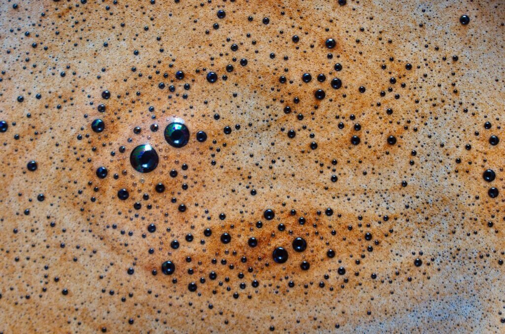 Close-up of a glass jar of kombucha with visible carbonation bubbles on a wooden kitchen counter