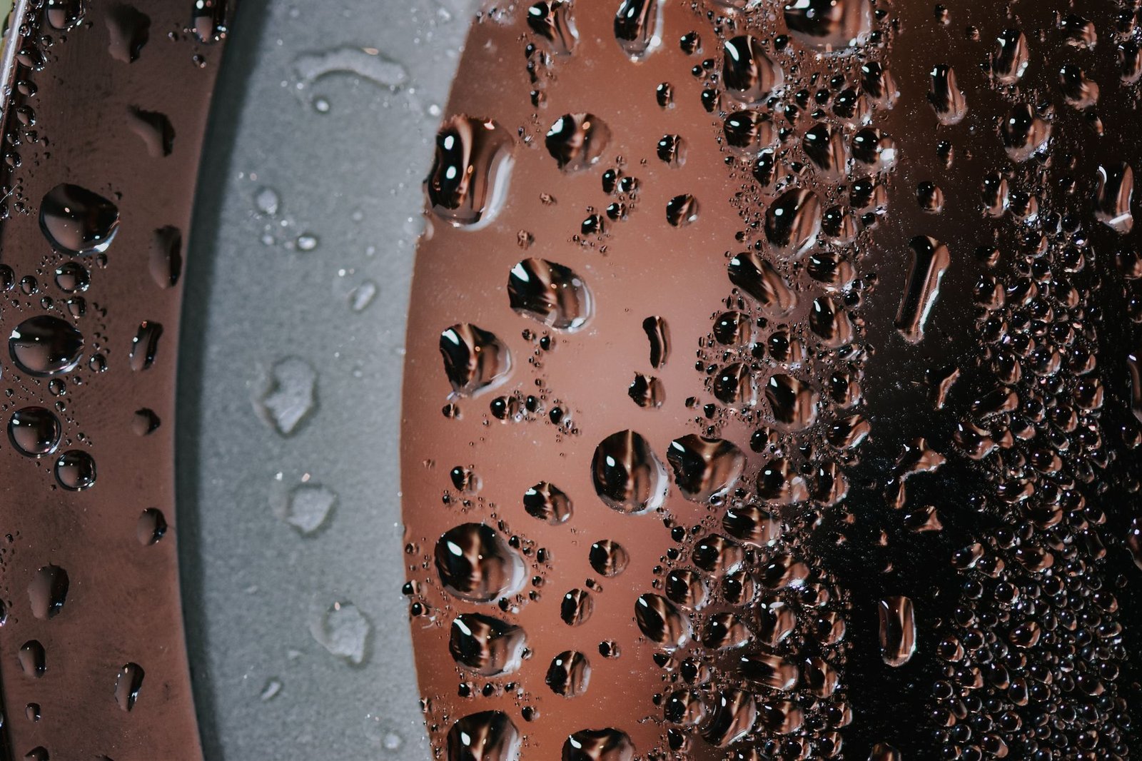 Close-up of a kombucha SCOBY floating in a glass fermentation vessel during the brewing process